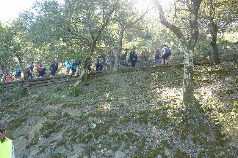 P1080280 [Résolution Originale].JPG